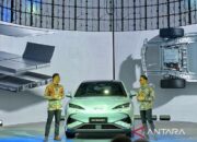 BYD resmi luncurkan Sealion 7 di IIMS 2025 dalam dua varian