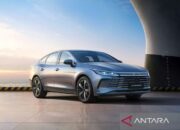 BYD kembali beri sinyal bawa mobil hybrid ke Indonesia