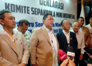 Babak Baru Sepak Bola Mini Indonesia